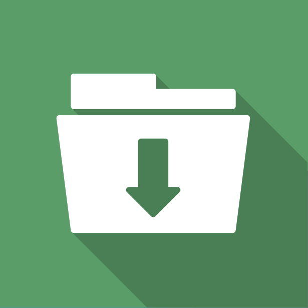 Single File Icon